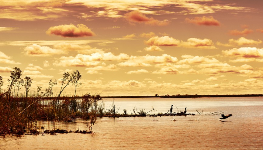 La magia de los Esteros del Iberá Revista Cabal