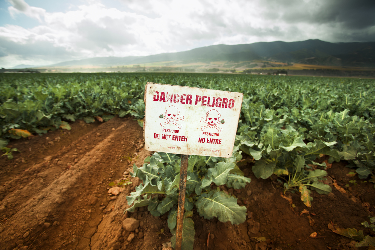 Pesticidas