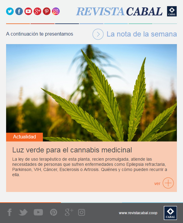 news cannabis